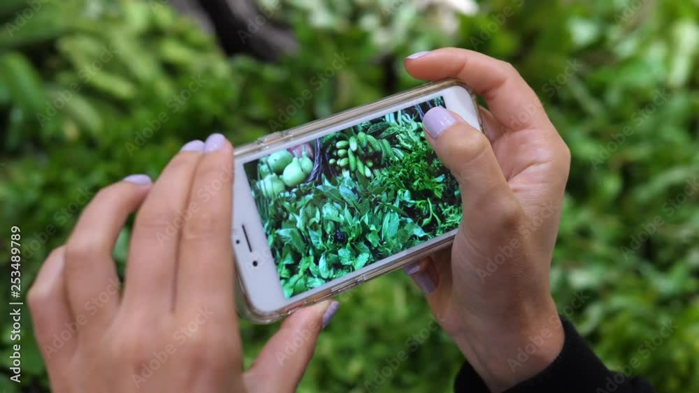 Close-Up Of Female Hands Taking Picture Of Healthy Green Food Using Cell Phone In Supermarket Close-Up Of Female Hands Taking Picture Of Healthy Green Food Using Cell Phone In Supermarket