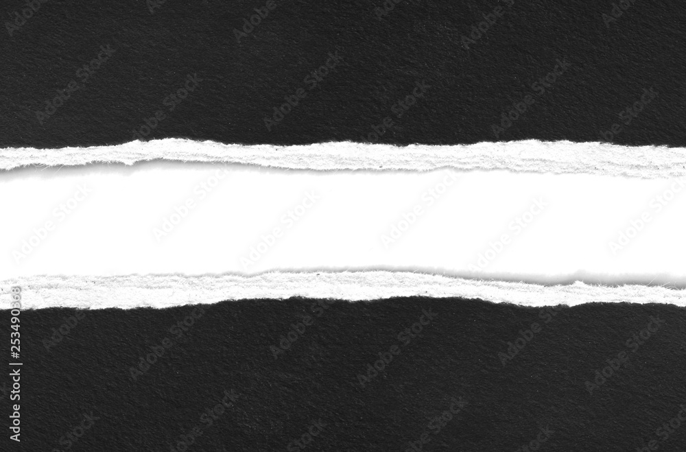 pieces of torn paper texture background, copy space. pieces of torn paper texture background, copy space.