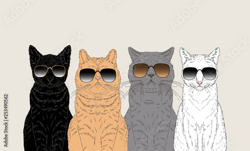 Black red grey white cats in sunglasses sitting in a row. Vector hand drawn animal illustration. Funny poster with cats.