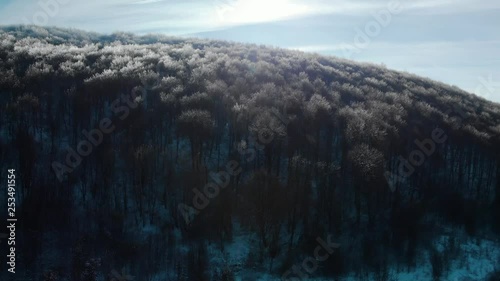 Drone rise over trees with frozen branches in sunny winter day photo