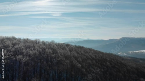 Drone rise over trees with frozen branches in sunny winter day photo