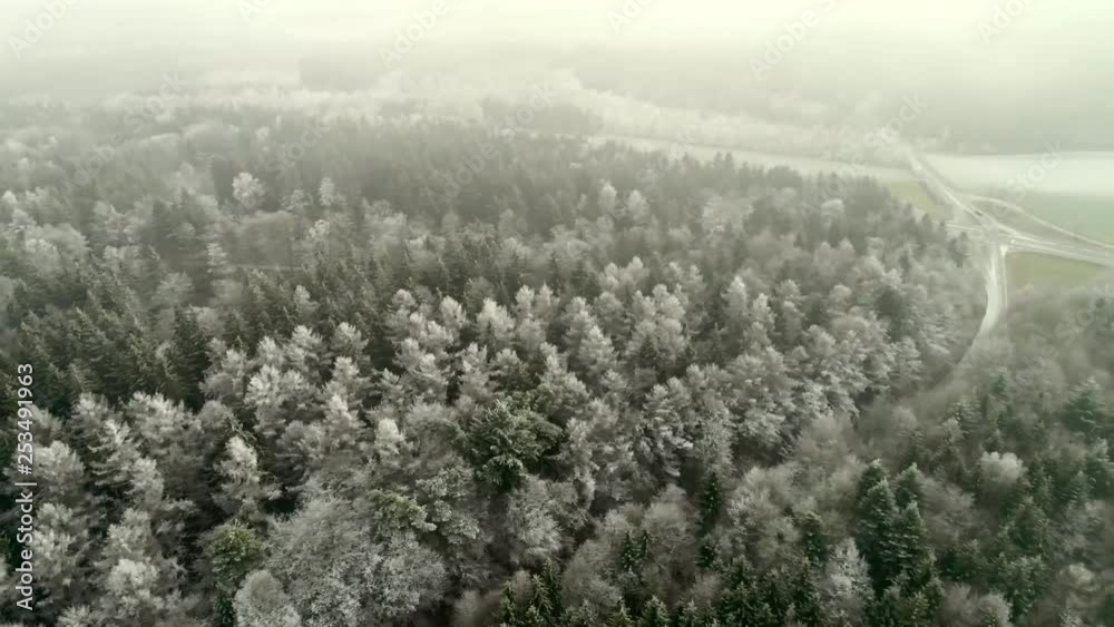 Pan shot over a beautiful frosty forest in the winter. Fir trees covered in snow and ice. Cold weather conditions in southern Germany. Foggy weather and trees as far you can see. Pan shot over a beautiful frosty forest in the winter. Fir trees covered in snow and ice. Cold weather conditions in southern Germany. Foggy weather and trees as far you can see.