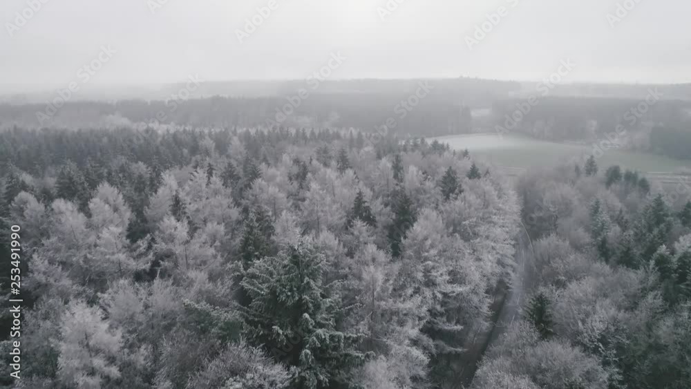 Flying over a frosty forest. Hidden street between the trees. Cold weather conditions and fog. The trees are covered in snow and ice. Flying over a frosty forest. Hidden street between the trees. Cold weather conditions and fog. The trees are covered in snow and ice.