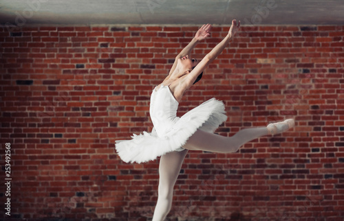 awesome ballerina jumping over white background, side view photo. hobby, interest, lifestyle, romanatic pose photo