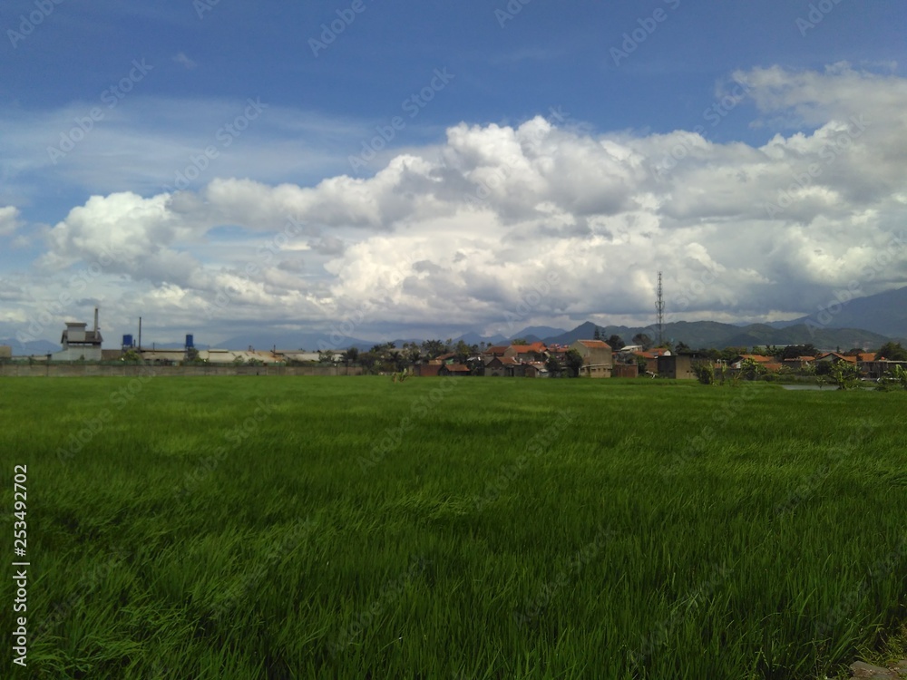 blue sky