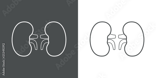 Icono plano lineal riñones en gris y blanco
