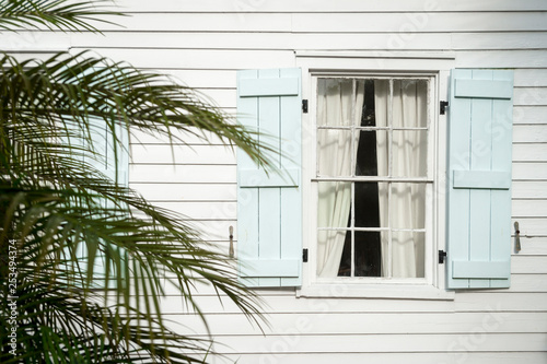 Decorative tropical background of lush green palm fronds in front of quaint wooden window shutters in Key West  Florida  USA