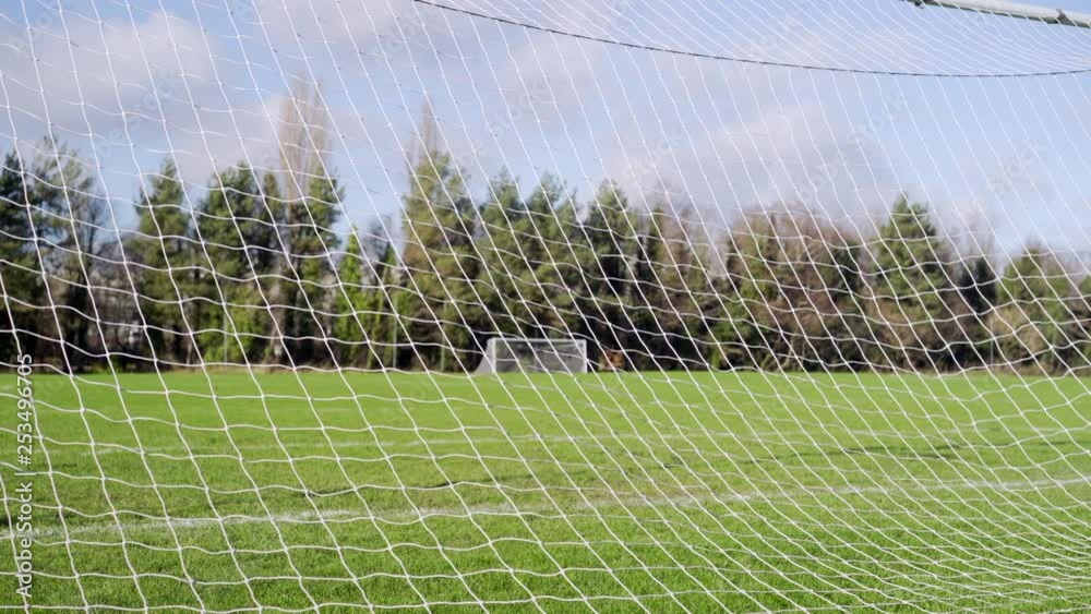 Soccer netting moving from behind goal, green grass, blue sky and trees.