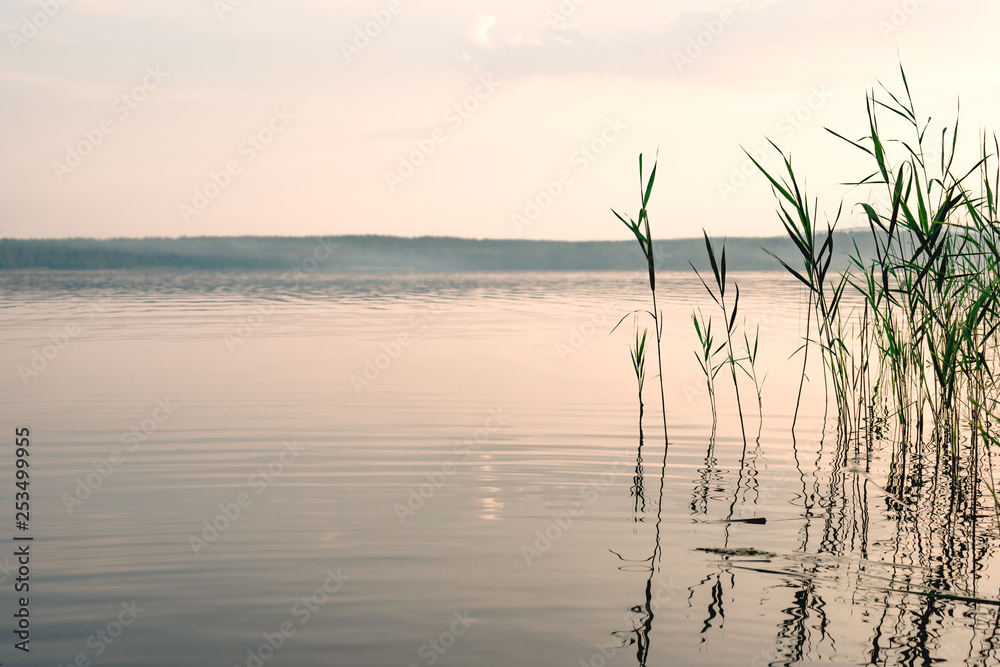 Calm misty morning at the lake Calm misty morning at the lake