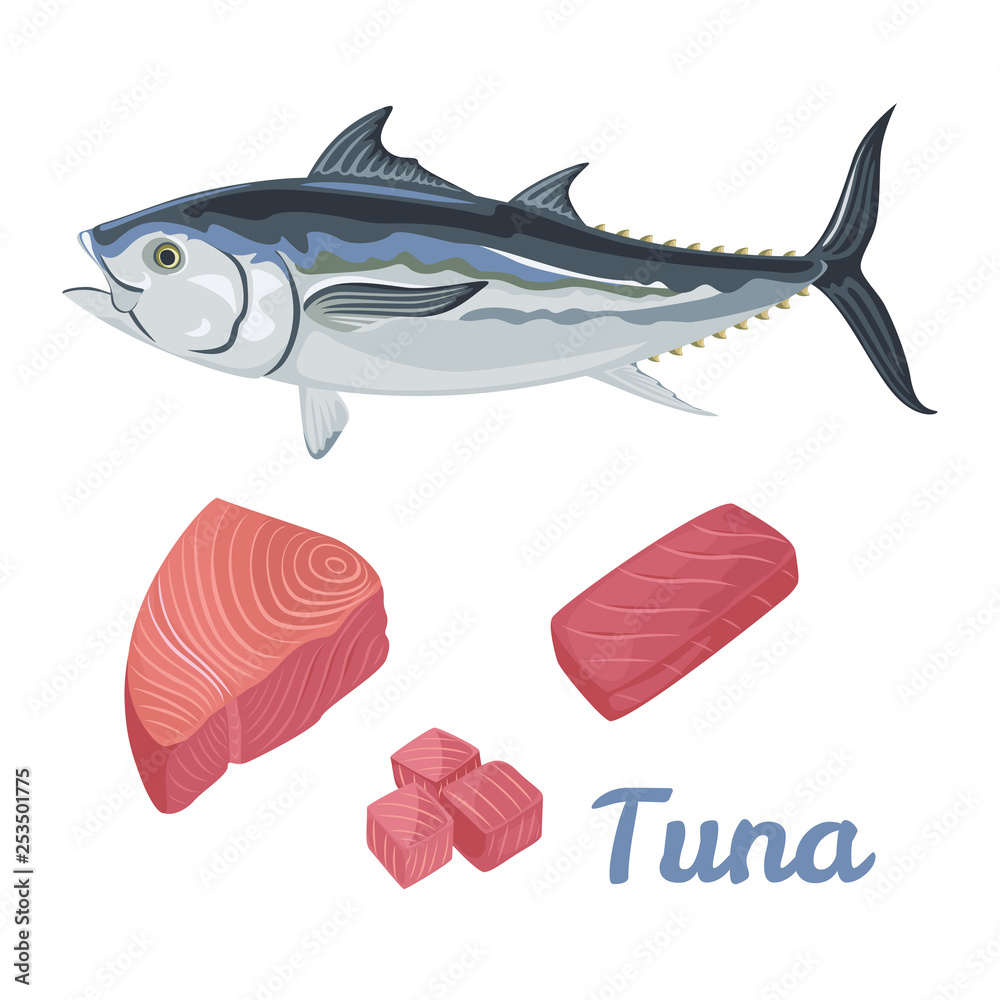 Vector fresh Tuna in flat style on white background. Slice, raw or