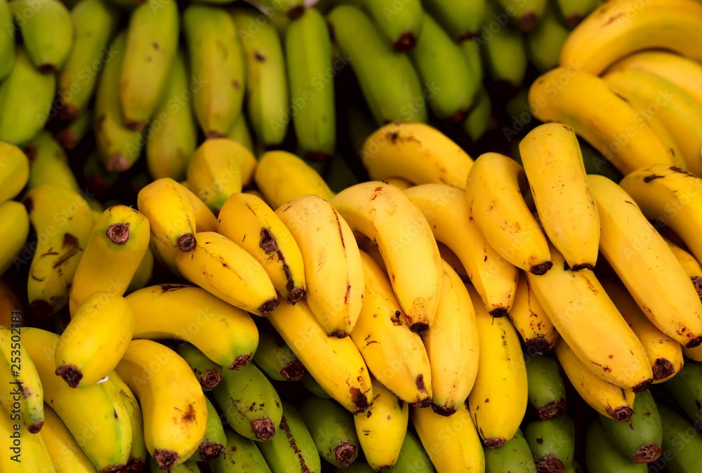 A group of fresh green and yellow bananas lie in rows on the counter on the market. Cropped shot, horizontal, close-up, side view. Concept of agriculture and proper nutrition.