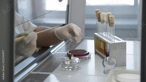 Medical researcher work in biological research lab. Clinical researches. Medical lab technician working in chemical laboratory. Female scientist