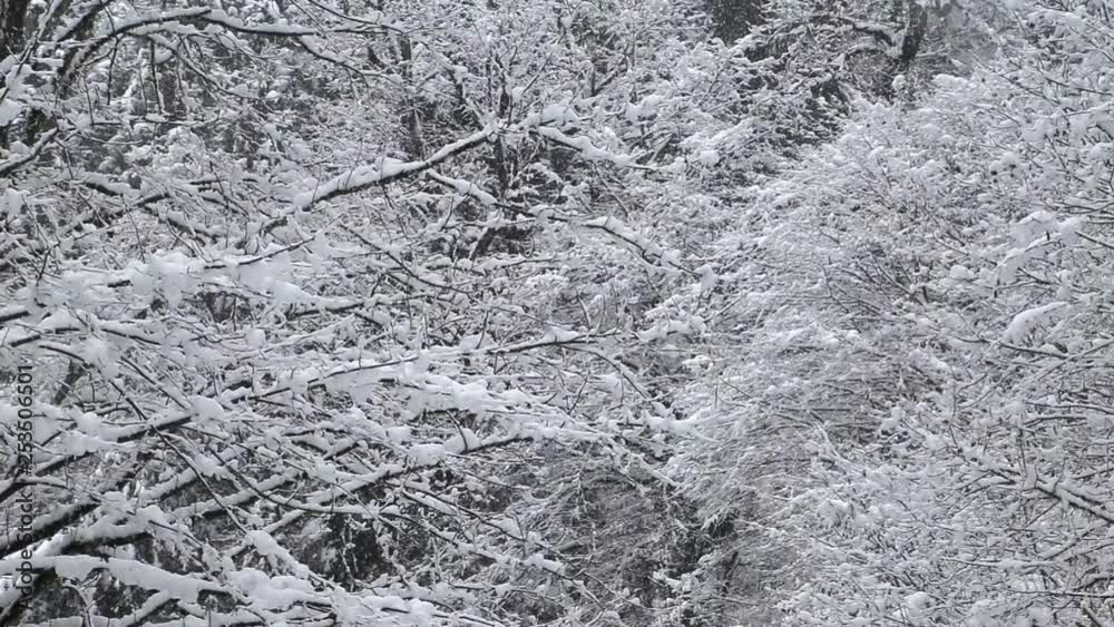 Abkhazia, mountains, snow Abkhazia, mountains, snow