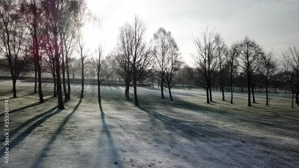 Wide arcing panning shot across bare white frosty trees in frozen field. Long sunrise shadows cast along ground. Wide arcing panning shot across bare white frosty trees in frozen field. Long sunrise shadows cast along ground.