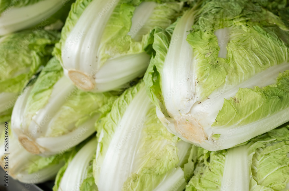 chinese cabbage at traditional marketplace chinese cabbage at traditional marketplace