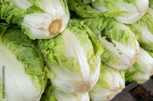 chinese cabbage at traditional marketplace