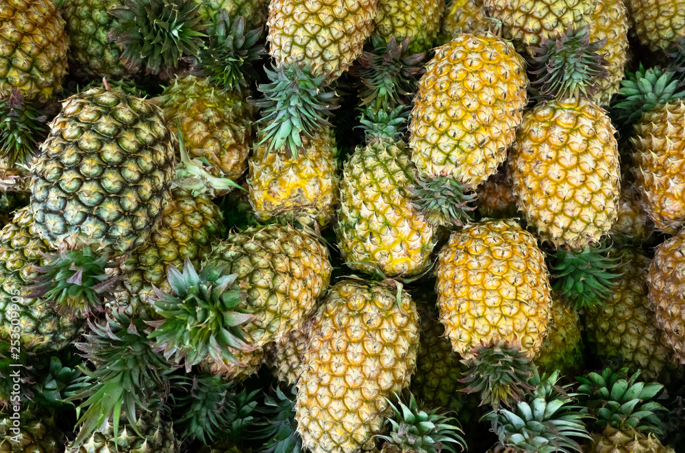 group of pineapple fruit group of pineapple fruit
