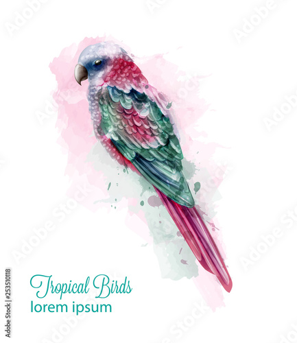 Tropic colorful parrot bird Vector watercolor. Cute bird illustration. blue c...