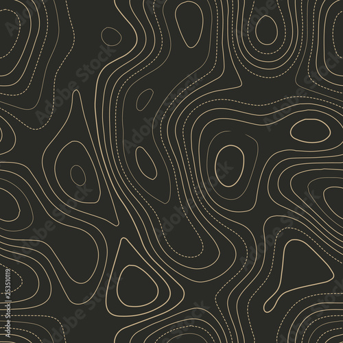 Admirable topography map. Seamless design. Fair tileable isolines pattern, vector illustration.