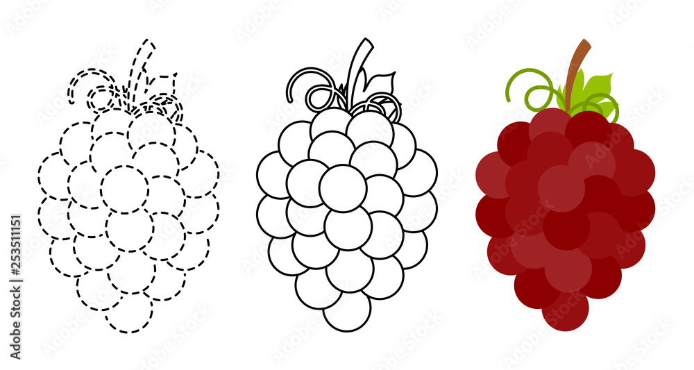 Grape to be colored and trace line educational game for kids Grape to be colored and trace line educational game for kids