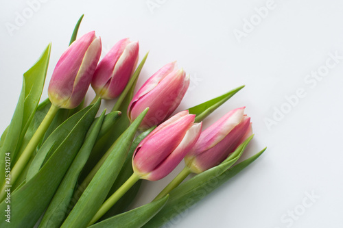 Beautiful bouquet of pink tulips on a white background