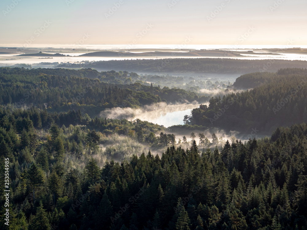 Misty forest and lake form aerial view with horizon