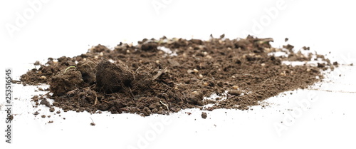 Dirt pile isolated on white background