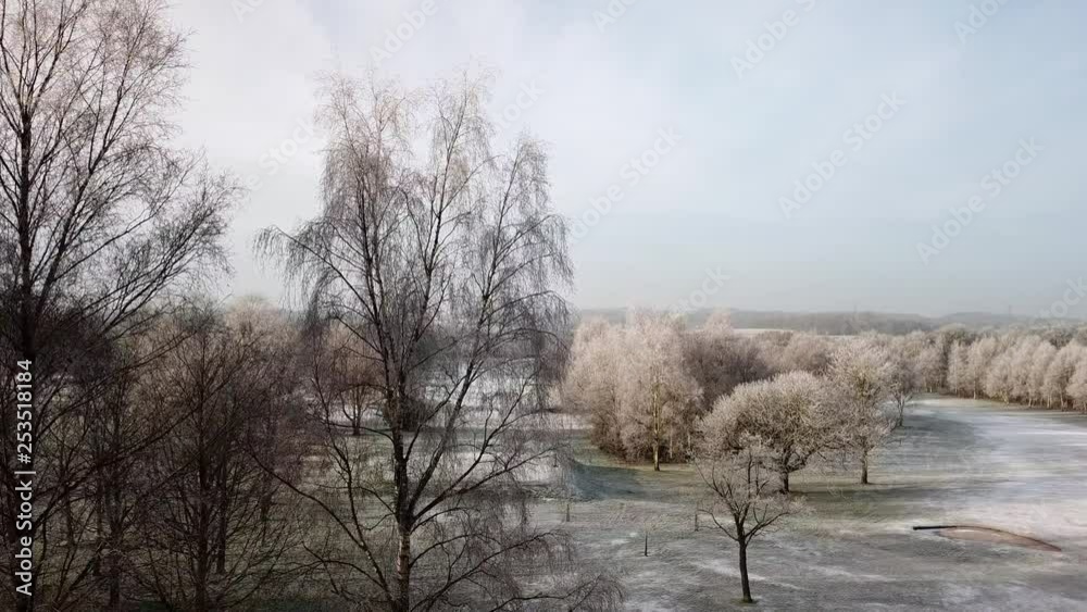 Aerial rising shot above bare winter frosty tree to views across landscape of white misty rural countryside fields. Aerial rising shot above bare winter frosty tree to views across landscape of white misty rural countryside fields.