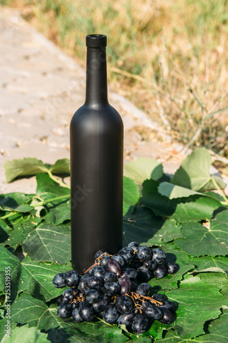 a bottle of wine stands on the background of the green leaves of the vineyard, near a bunch of grapes. vine. natural drink, private vineyards