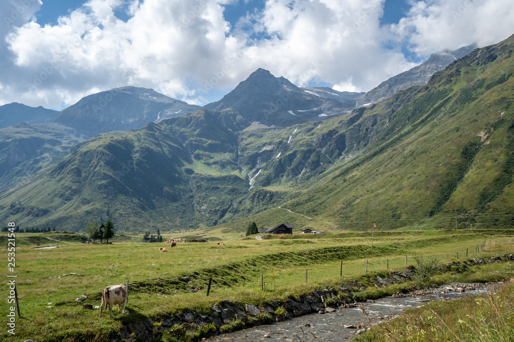 Fototapeta premium An idyllic scene at the green valley of Sportgastein in the Gasteiner Tal, Austria in Summer