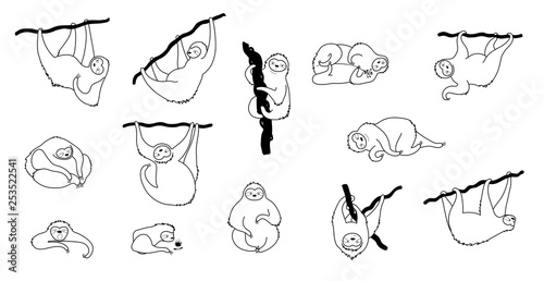 Vector illustration of cute character sloth