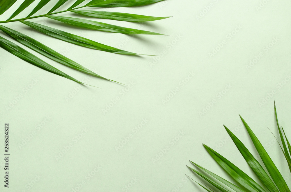 Tropical palm leaves on green background. Flat lay, top view minimal concept. Tropical palm leaves on green background. Flat lay, top view minimal concept.