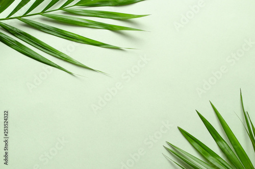Tropical palm leaves on green background. Flat lay, top view minimal concept.