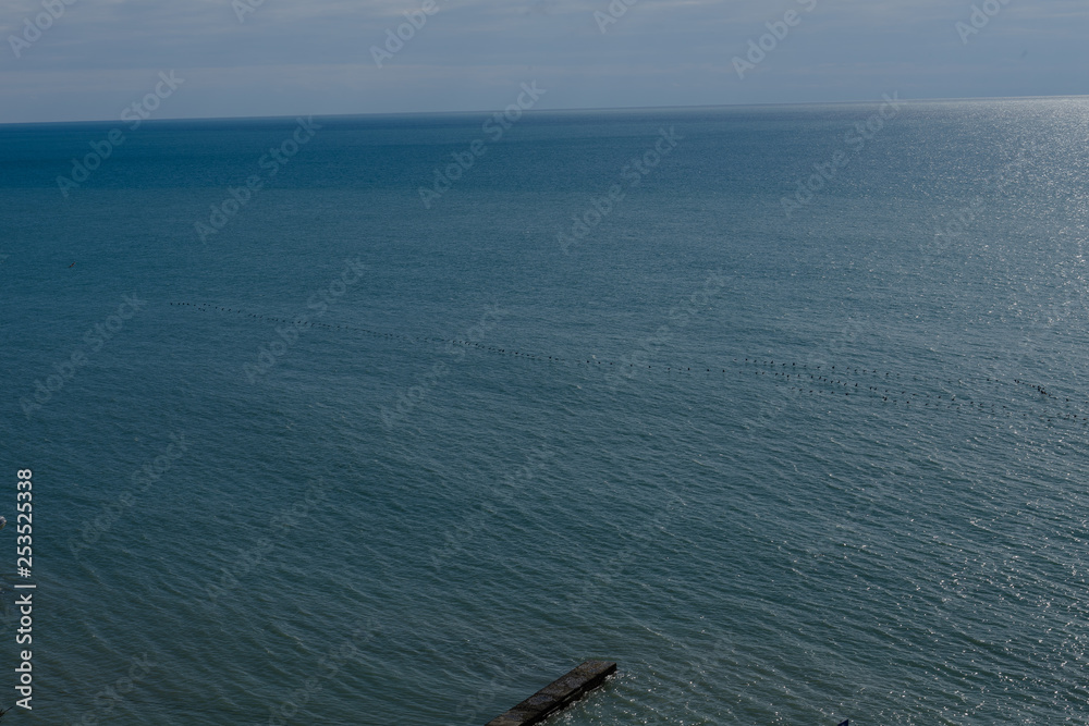 Flock of birds flying over the sea blue water and beautiful blue sky Flock of birds flying over the sea blue water and beautiful blue sky