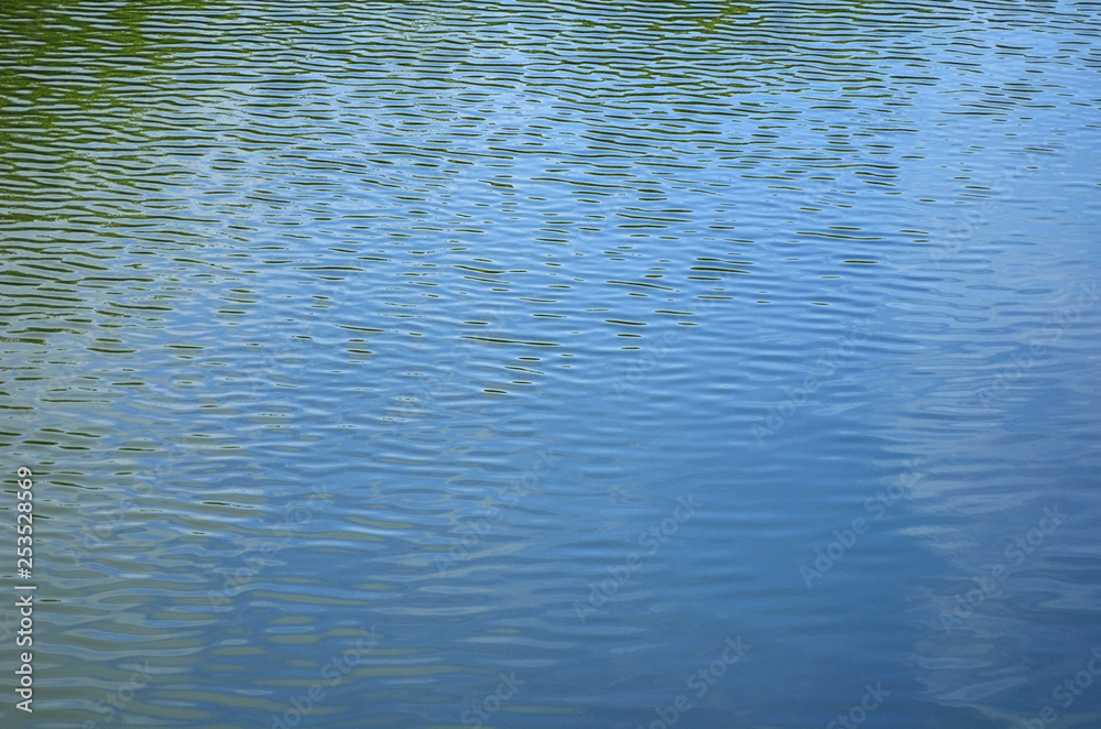 池　水　素材