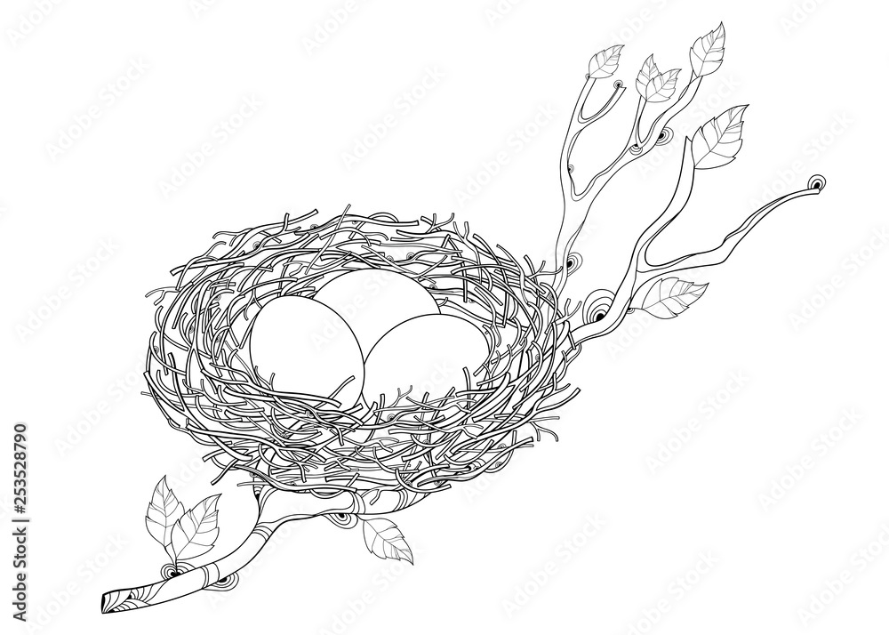 Outline tree branch with bird nest with three eggs in black isolated on