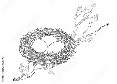 Outline tree branch with bird nest with three eggs in black isolated on white background. 