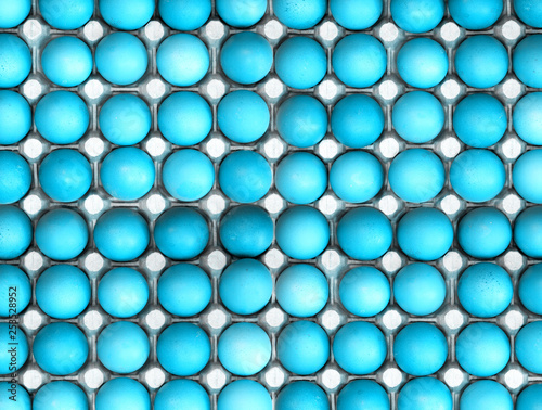 Fresh blue eggs in egg tray  easter background. Eggs top view