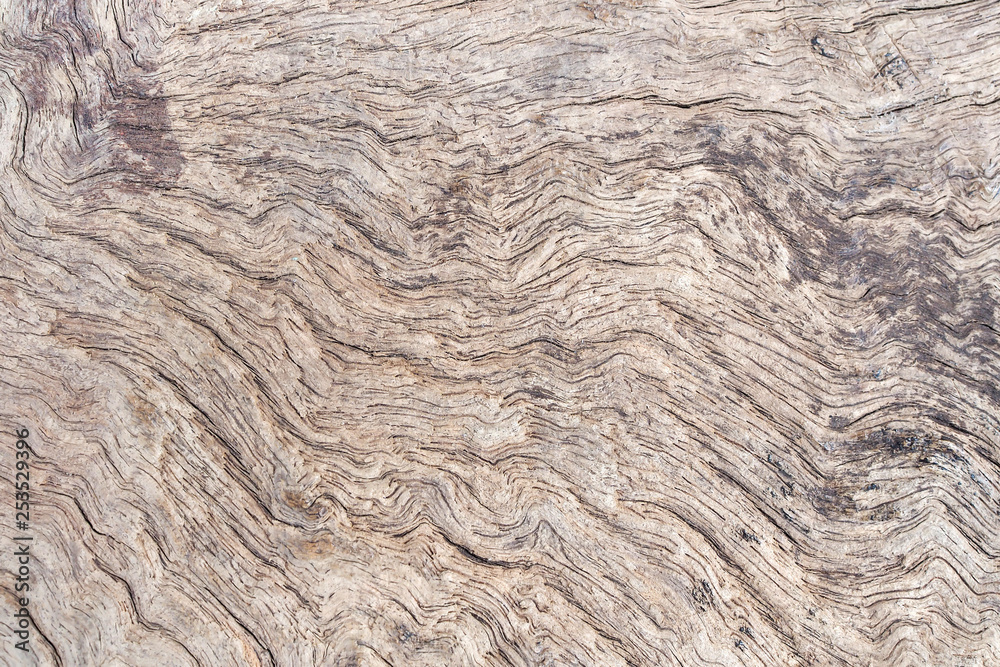 Top view of old rustic natural grunge black wood texture free background surface pattern. Top view of old rustic natural grunge black wood texture free background surface pattern.