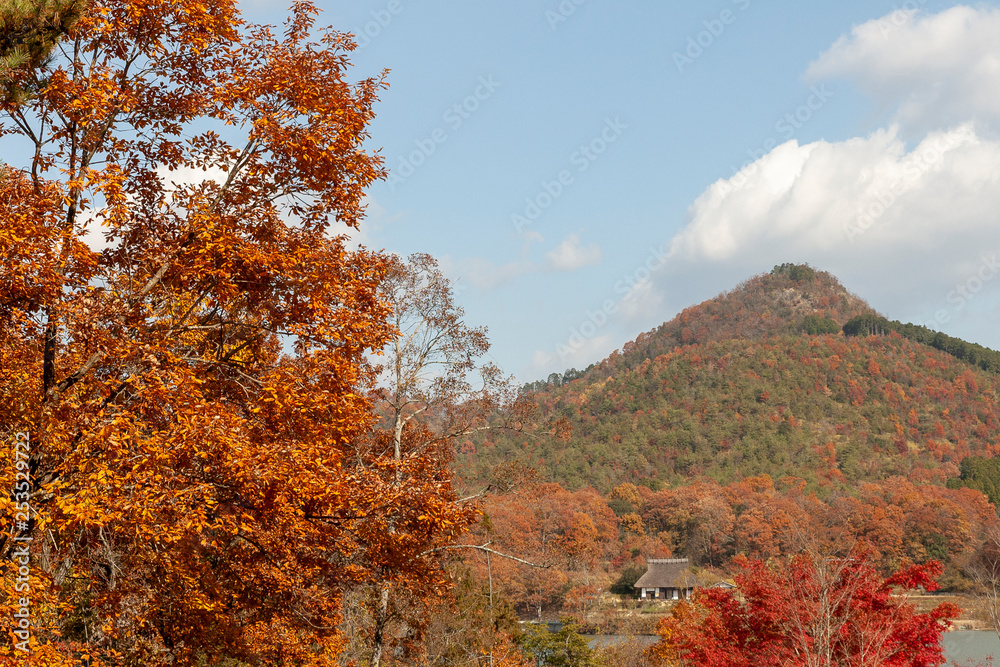 Autumn color in Japan