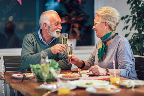 Senior couple toasting wine at home in the living room