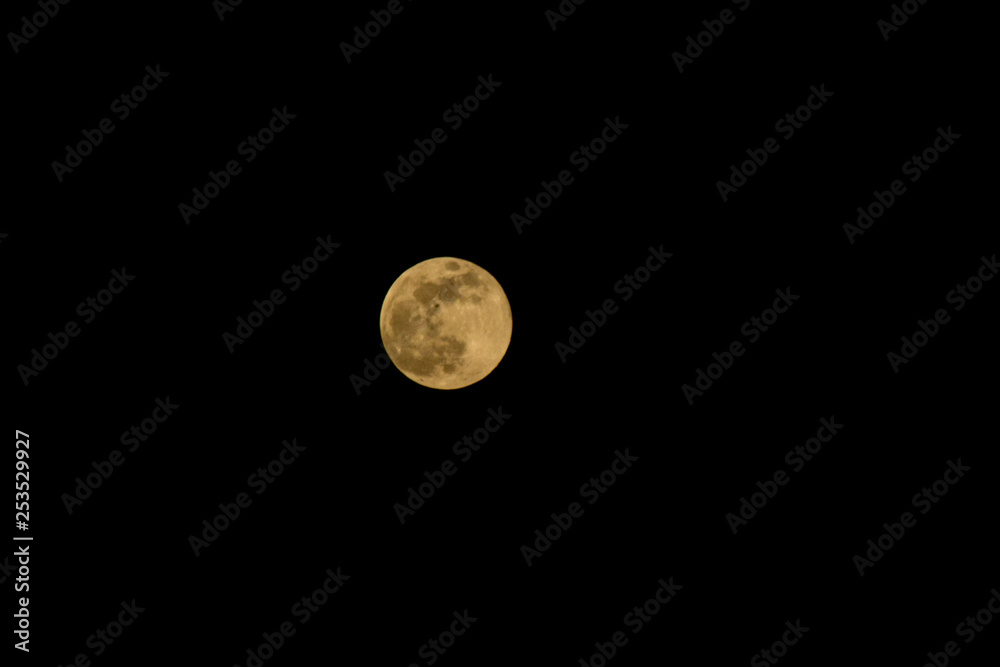 Fototapeta premium Moon