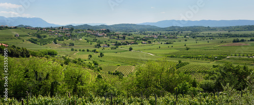 Panorama of vineyards in the green hills of Gorizia Brda fwith hilltop village of Vipolze Slovenia