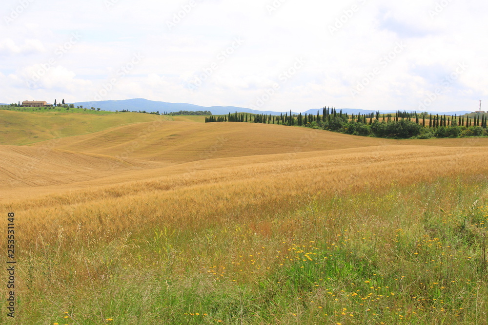 Obraz premium toscana