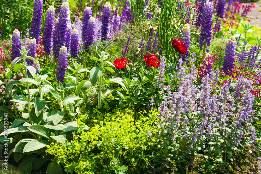 Φωτογραφία Beautiful flowerbed in the garden