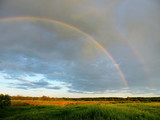 rainbow over field