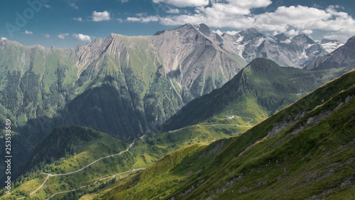 mountain chain panorama alps and meadow