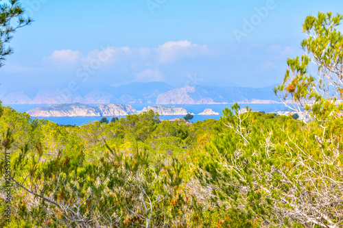Punta de El Torro