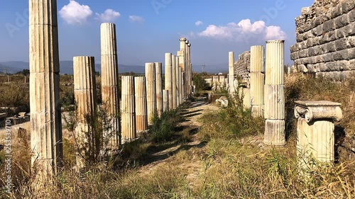 Ancient trade street with rows of column in Magnesia, Turkey.