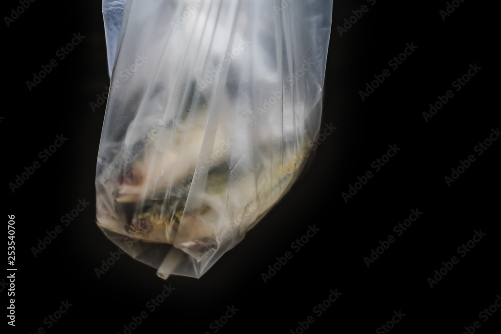 Fishes in plastic bag at a food market. Plastic become a common part of everyday living in Thailand.